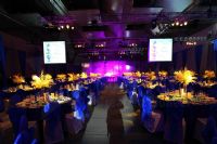 美容院2016年会合唱背景曲目大全