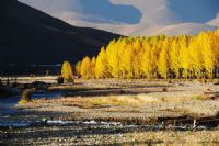 高考之后去哪里玩？这些极美的景区别错过