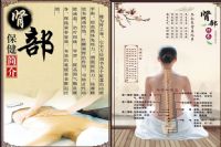 驻颜美容：肾部保养的重要性