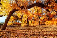 天气变凉了美容院给顾客的问候短信