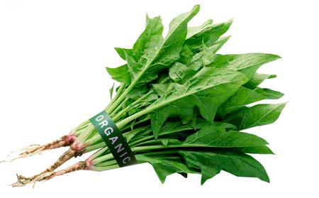 美容菜品第三号：菠菜
