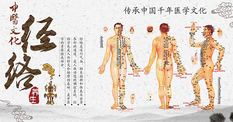 经络养生会所香蕉网视频在线观看