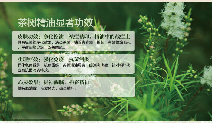 茶树精油的使用方法有哪些？
